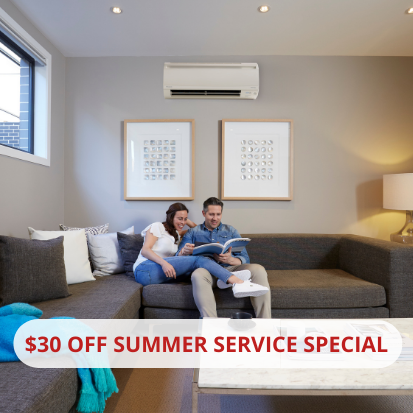 Service Special Woodpecker Heating Cooling Fireplace BBQs